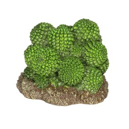 Декорация искусственный кактус Hobby Cactus Atacama 7x6x5см (37018)