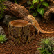 Декорація Hobby Forest Stump 14×12,5×10 см - декоративний пень, поїлка для тераріуму (40848)