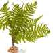 Штучна рослина, папороть Terrario 32x15x32см (330)