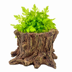 Декорація Hobby Wildwood Stump 15×14,5×9 см - декоративний пень, поїлка, горщик для тераріуму (40849)