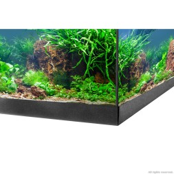 Акваріумний комплект Eheim aquastar 54 LED чорний (0340645)