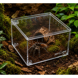 Тераріум з акрилу Repti-Zoo Mini ACR17 10,5×8,5×6,5 см для павуків, скорпіонів та комах
