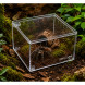 Тераріум з акрилу Repti-Zoo Mini ACR17 10,5×8,5×6,5 см для павуків, скорпіонів та комах