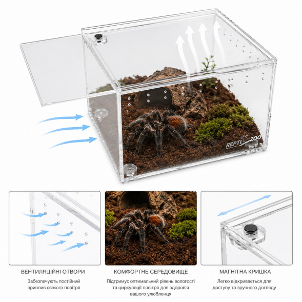 Тераріум з акрилу Repti-Zoo Mini ACR17 10,5×8,5×6,5 см для павуків, скорпіонів та комах