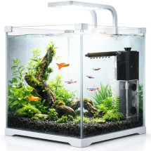 Аквариум, комплект Kruger Meier Shrimp!One Pro 30 белый, 15 л. 24x25x26.5 см