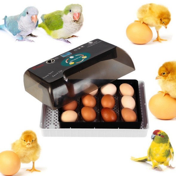 Автоматический инкубатор Kruger Meier ProNestix на 12 яиц с термостатом и овоскопом