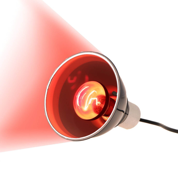 Інфрачервона нагрівальна лампа Repti-Zoo Infrared Heat 35W (R63035)