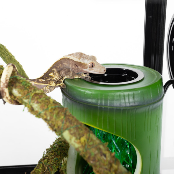 Фонтан для хамелеонов и гекконов Repti-Zoo Bamboo (DF02)