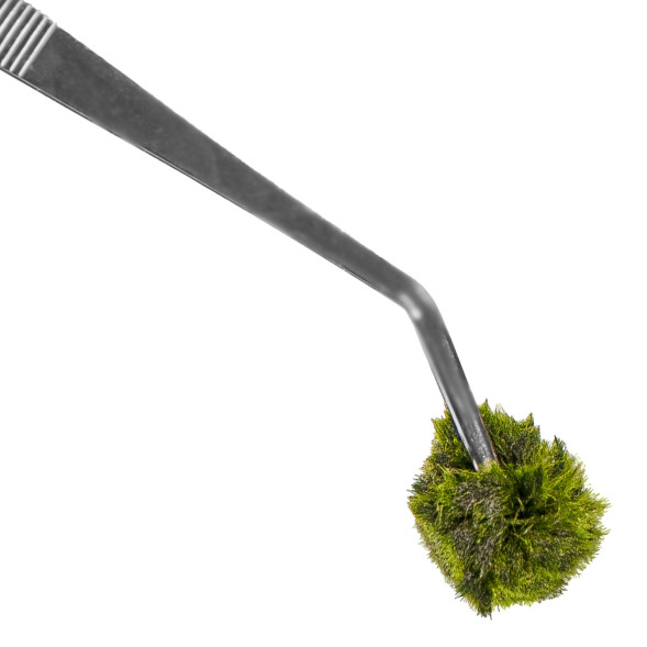 Пинцет изогнутый 48см Kruger Meier Pflanzenpinzette Verbogen