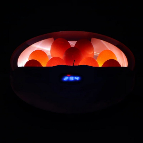 Автоматический инкубатор Kruger Meier ProOvula 9 с термостатом, светодиодной подсветкой и дисплеем