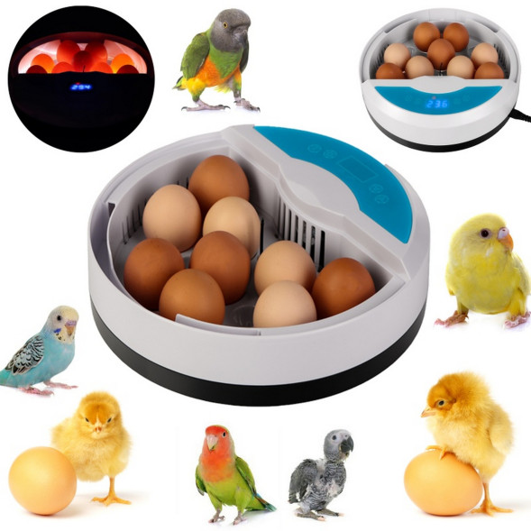 Автоматический инкубатор Kruger Meier ProOvula 9 с термостатом, светодиодной подсветкой и дисплеем