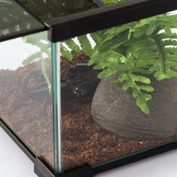 Тераріум Repti-Zoo AK09BG 31x21x15 см з вентиляцією і кришкою для рептилій, амфібій і комах