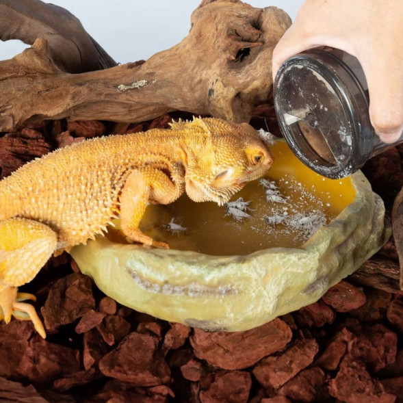 Вітамінізатор, шейкер Repti-Zoo Vita-Calcium (GMB01) для обробки кормових комах кальцієм і вітамінами