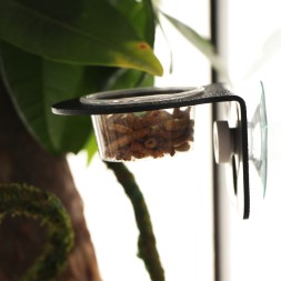 Підвісна миска для деревних рептилій Terrario Gecko Bar Black з двома чашами та присоскою