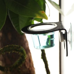 Підвісна миска для деревних рептилій Terrario Gecko Bar Black з двома чашами та присоскою