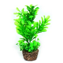 Искусственное растение Hobby Flora Stone 3 13см (51532)