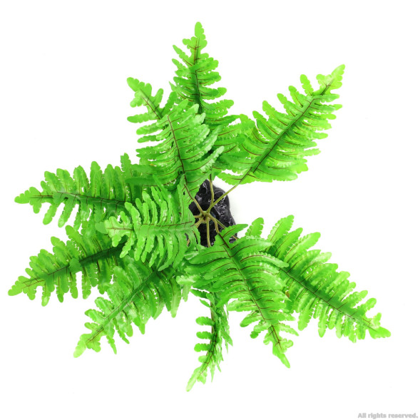 Штучна рослина, папороть Repti-Zoo Tropical Fern 22см (TP015)