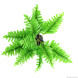 Штучна рослина, папороть Repti-Zoo Tropical Fern 22см (TP015)