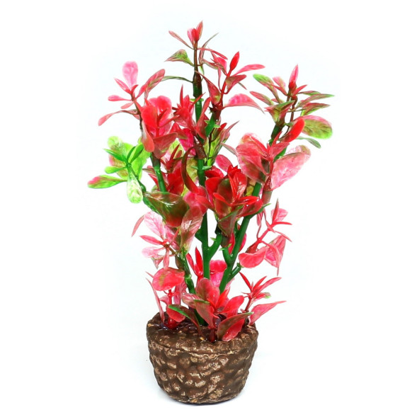 Искусственное растение Hobby Flora Stone 4 13см (51533)