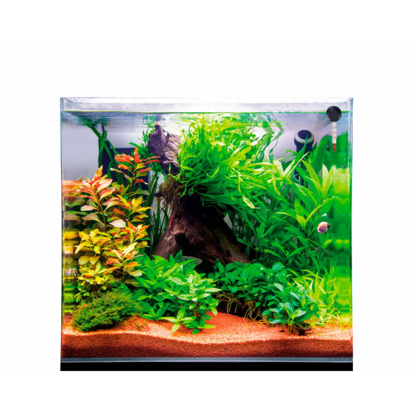 Аквариум из ультрабелого стекла Dupla Scaping Cube 10 20x20x30см (80890)