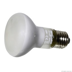 Лампа точечного нагрева Repti-Zoo Beam Spot 35W (BS63035)