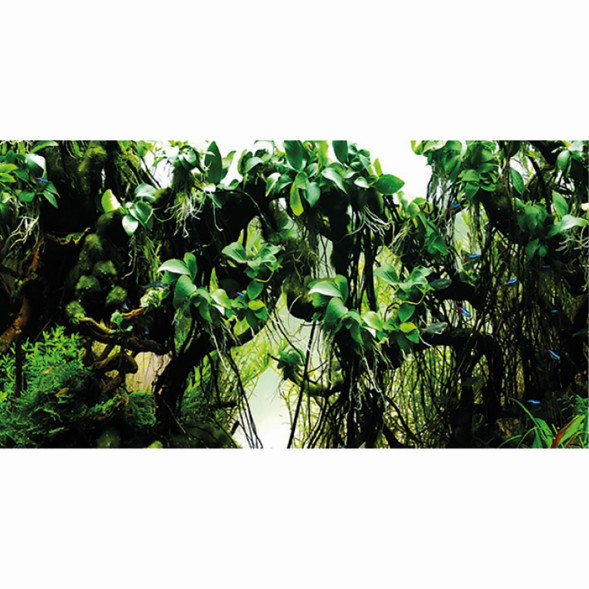 Задний самоклеющийся фон Hobby Pearl River*/Deep Delta 100x50см (31226)