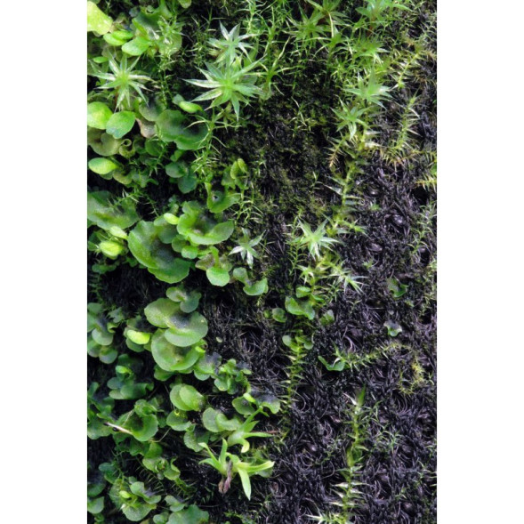 Тропический хлопок Repti-Zoo Plant Cotton XL 59×44 см (YZM001) для мха и растений в террариум