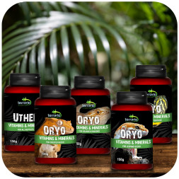 Вітаміни для війкового гекона бананаїда Terrario ORYO for Crested Gecko 150г