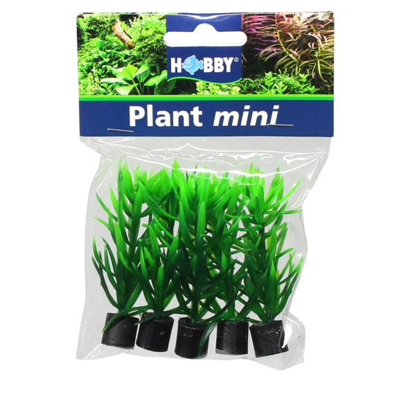 Искусственное растение, набор Hobby Didiplis mini, 1,5x1,5x6см 5шт. (51544)