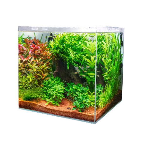 Аквариумный комплект из ультрабелого стекла Dupla Cube Set 80 45x45x40см (80896)