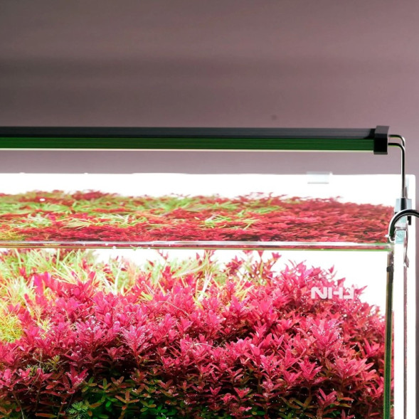 Світильник Chihiros B-Series B45 LED 45-65 см розумне RGB-освітлення для акваріума