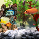 Декорація Yusee Aquarium Decor Thermometer з термометром LCD 14X6X11см (ys201030)