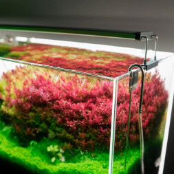 Светильник Chihiros B-Series B20 LED 20-30см разумное RGB-освещение для аквариума