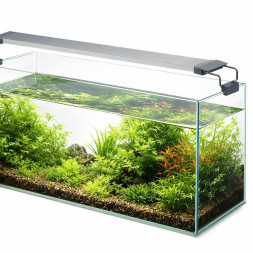 Светильник Chihiros W Series W75 WRGB LED 33 Вт, 2700 лм, IP67 для аквариума 75-90 см, Bluetooth