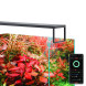 Светильник Chihiros WRGB SLIM 30 II LED Bluetooth 23W для аквариумов 30-45 см