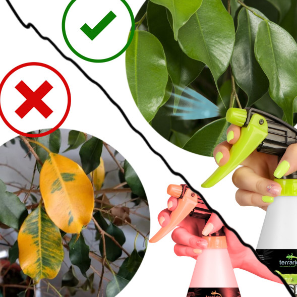 Опрыскиватель ручной Terrario Troppi Sprayer 750мл