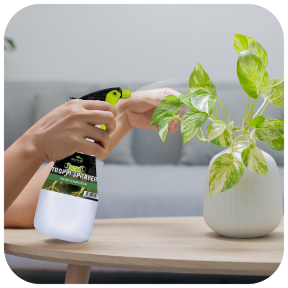 Опрыскиватель ручной Terrario Troppi Sprayer 750мл