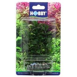 Искусственное растение Hobby Bacopa 13см (51556)