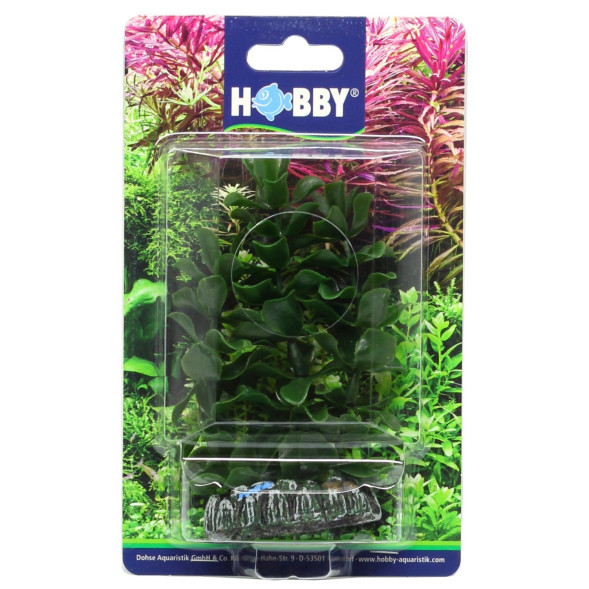 Искусственное растение Hobby Bacopa 13см (51556)