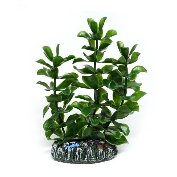 Искусственное растение Hobby Bacopa 13см (51556)