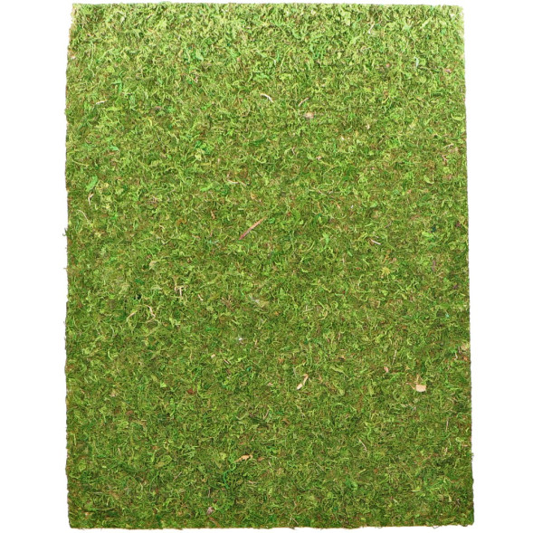 Фон з натурального моху Repti-Zoo Natural Moss Back &amp;amp; Bottom 50x25см 2 шт (NCM5025) для тераріуму