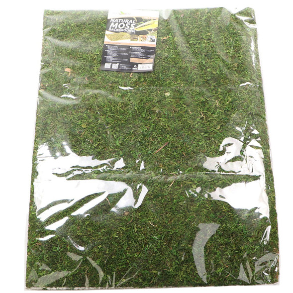 Фон з натурального моху Repti-Zoo Natural Moss Back &amp;amp; Bottom 50x25см 2 шт (NCM5025) для тераріуму