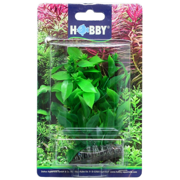 Искусственное растение Hobby Hygrophila 13см (51559)