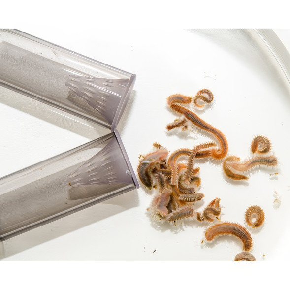 Пастка для багатощетинкових черв&amp;#039;які Dupla Worm X (81595)