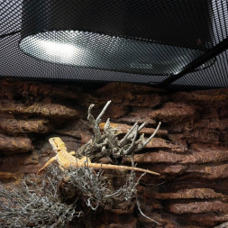 Лампа LED Repti-Zoo Desert and Tropical UVB 5.0 UVB 10.0 5W для террариумов (LEDU04)