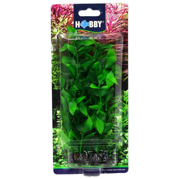 Штучна рослина Hobby Hygrophila 20см (51560)