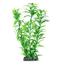 Штучна рослина Hobby Heteranthera 25см (51566)