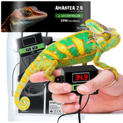 Нагревательный мат с термостатом Terrario Amantea 2.0 20W 20W 42x28см