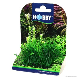 Штучна рослина Hobby Plant Pad 1 7x4,5x5,5см (51551)