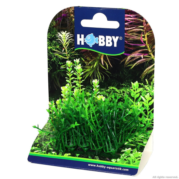 Искусственное растение Hobby Plant Pad 1 7x4,5x5,5см (51551)